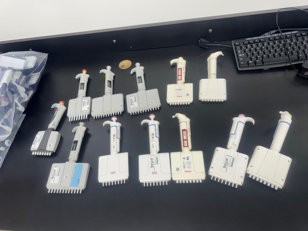 Image of Thermo Finnpipette Multichannel Pipettes